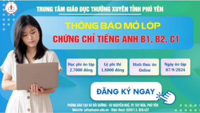Banner website